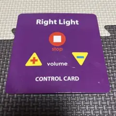 ディズニー英語システム 最新版 メインプログラム ライトライトペン専用