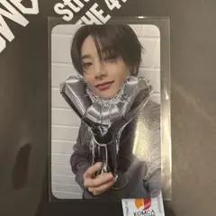 straykids スキズ KARMA アイエン fans トレカ
