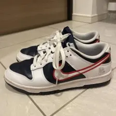 ナイキ ウィメンズ ダンク ロー PRM 