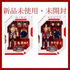 シュタイナーブラザーズ フィギュア 新品 WWE リック・シュタイナ IAI5