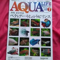 月刊アクアライフ 2024年7月号