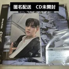 スキズ　GIANT オフイベ　関西会場限定トレカ　スンミン