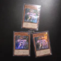遊戯王　影六武衆 ハツメ DBSW　スーパーレア　デッキパーツ 六武衆
