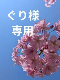 ぐり様専用ページ