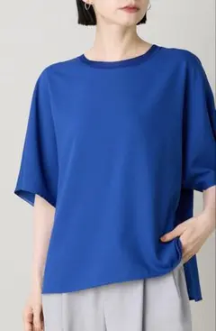 【タグ付き新品】INED ジョーゼットカットソーのサムネイル
