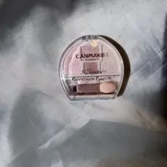キャンメイク プランぷくコーデアイズNEO N02 涙袋パレット