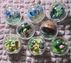 ポケモン ルーメント テラリウムコレクション アローラ地方編