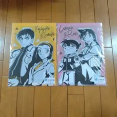 名探偵コナン × 謎ファイル セット