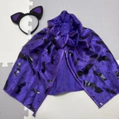 Item thumbnail for item 488b3511-5fa2-4d2b-bdc2-0c36e5c42885