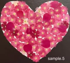 アナベル様 リクエスト 10点 まとめ商品