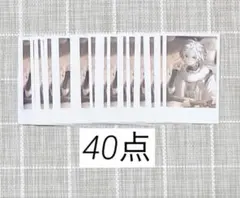 【本日限定価格】にじさんじ 誕生日グッズ チェキ風カード 叢雲カゲツ 40点