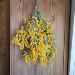 Item thumbnail for item 761e14cd-563b-4a98-99d4-ff20f1dab46b