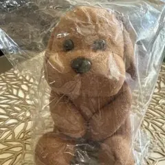 SexyZone プロデュース グッズ いぬ ぬいぐるみ