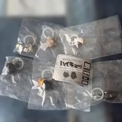 つながリングチャーム ハイキュー!!マスコット コンプ