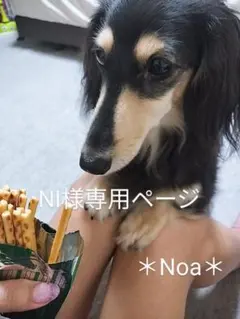 ＊NI様専用ページ＊