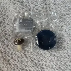 Item thumbnail for item 9083c34a-581a-4373-947a-579f7a9f9e1c