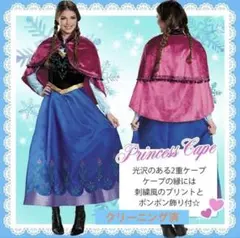 【1回着用】アナと雪の女王 アナ風衣装 ドレス コスプレ ハロウィン