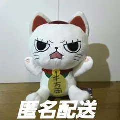 【新品未使用品】タグ付 ダンダダン　ターボババア(招き猫)のＢＩＧぬいぐるみ