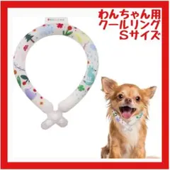 Item thumbnail for item 109defe7-8c53-45e7-bb3c-834132de41cd