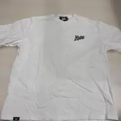 Item thumbnail for item 4447be48-d669-4454-9538-f3714d5a5fce