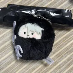 2025年最新】日番谷冬獅郎 ぬいの人気アイテム - メルカリ