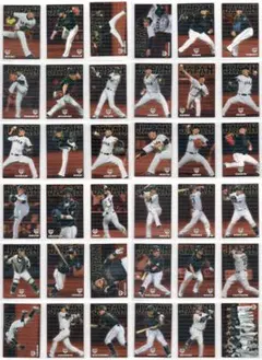 T*8様 2017 Calbee 野球日本代表 侍ジャパンチップス カード 36