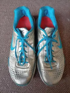 ＮIKE ZOOMＡIR 27cm