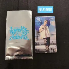 StaryKids dominATECelebrATE　スペシャルトレカ　リノ