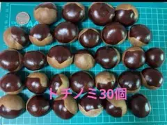 トチノミ 30個セット