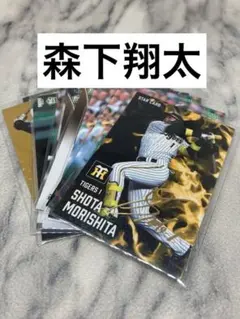 森下翔太　１１枚セット