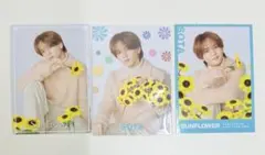 FANTASTICS 中島颯太　フォトカ　シクレ&ノーマル　コンプセット