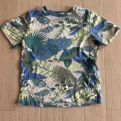 H&M 葉柄 Tシャツ 140cm