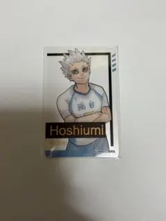 ハイキュー!! 箔押しクリアカードコレクション 星海光来