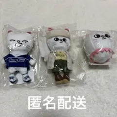 straykids ヒョンジン ジニレット バッグチャーム まとめ売り セット