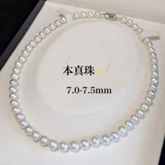 テリ強/新品仕上げ】あこや真珠 パールネックレス ピンクホワイト 6mm
