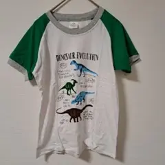 キッズ　セットアップ　部屋着　恐竜