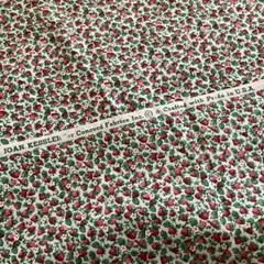 USAコットンJOAN KESSLER いちご柄