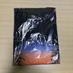 藤井風さんポテチ Tシャツ (Salt) Sサイズ 未使用品 翌日発送 - メルカリ