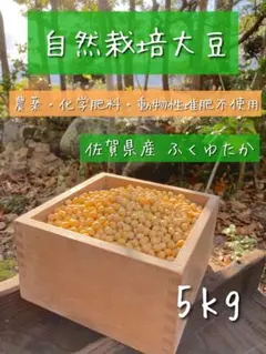 自然栽培大豆 6kg 佐賀県産ふくゆたか 農薬化学肥料動物性堆肥不使用 2026年最新】大豆 フクユタカの人気アイテム - メルカリ