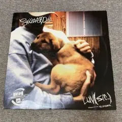 2026年最新】luv sic レコードの人気アイテム - メルカリ