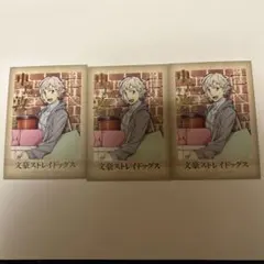 文豪ストレイドッグス　ぱしゃこれ　中島敦