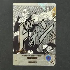 ピッコロ パラレル ダイバーズ アドバンスパック APT-017 40th