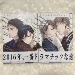 かしこまりました、デスティニー 上下さちも