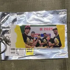 阪神タイガース シークレット 優勝アクリルキーホルダー