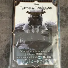新品 ツイステッドワンダーランド　ポストカードブック