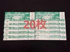ハッピードリームサーカス 湘南 平塚公演 特別割引入場券 20枚のサムネイル