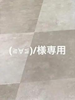 (≧▽≦)/様専用