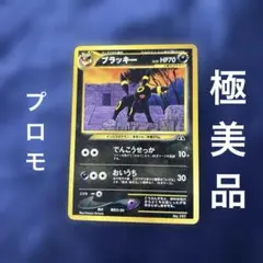 ポケモンカードneo　ブラッキー　旧裏　プレミアムファイル　2 未使用品　美品