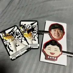 阪神タイガース 大山悠輔 ヘアクリップ カードセットのサムネイル
