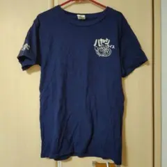 Item thumbnail for item 2a77b074-399f-4acc-a009-cfe2fb4db788